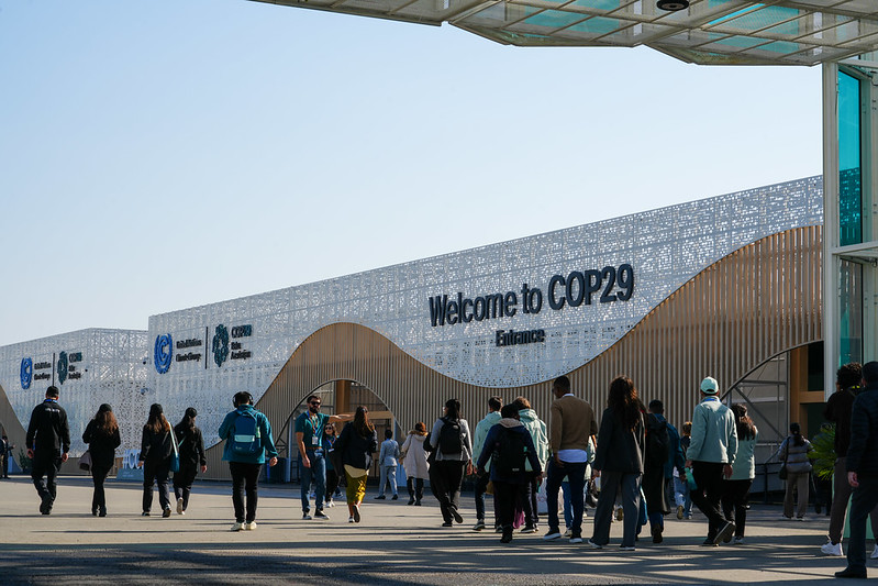 decepción cop29 baku