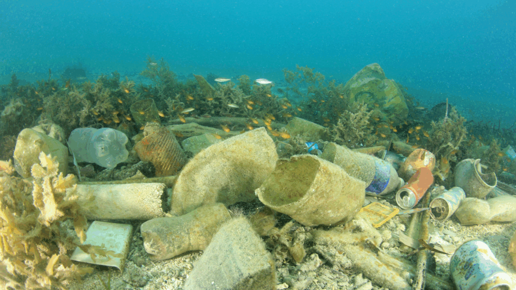 Sommet des Océans 2025 à Nice