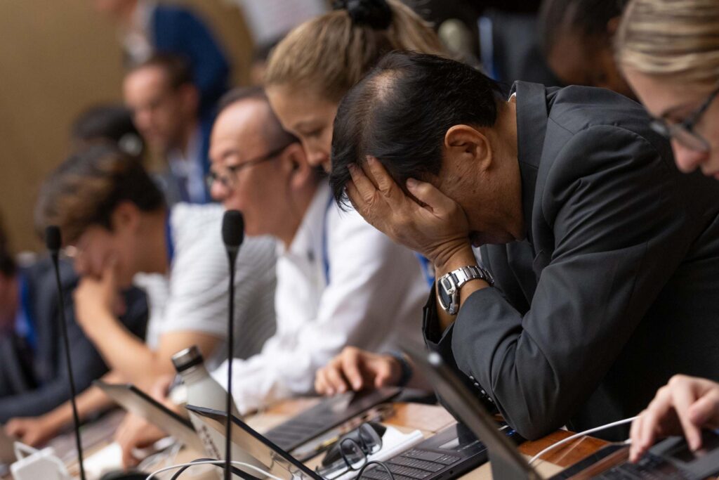 Delegates to the Geneva conference on the last day of the negotiations. Photo by IISD/ENB - Kiara Worth