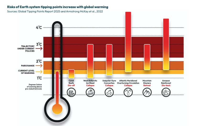 Les récifs, premières victimes du changement climatique
