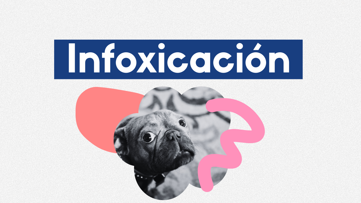 comunicar cambio climático infoxicacion